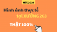 Hình thực tế Xưởng 263 Tháng 8.2024 | Khí Công Nghiệp 263